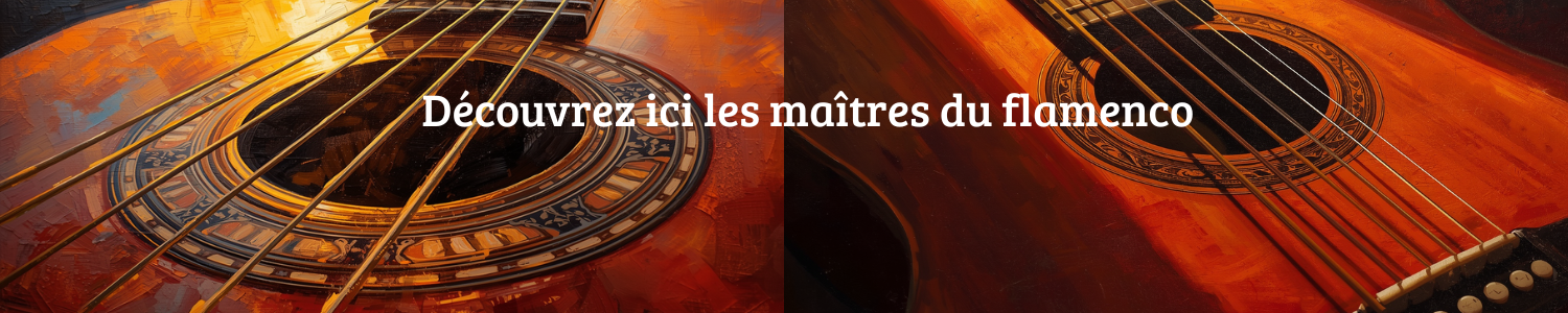 Banner Flamenco Frances